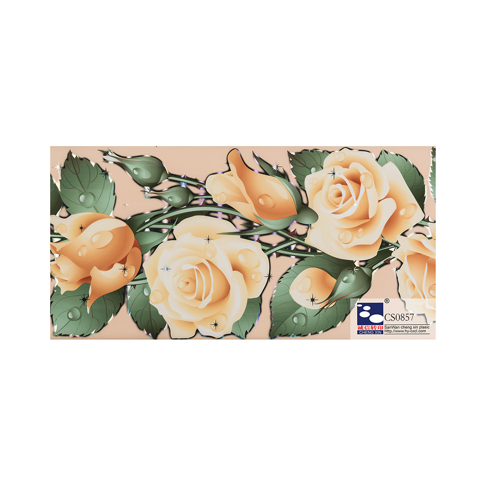 Commercio all'ingrosso 2021 nuovo design pvc stampa a colori soffitto lamina abbronzante pellicola in pvc composito CS0857